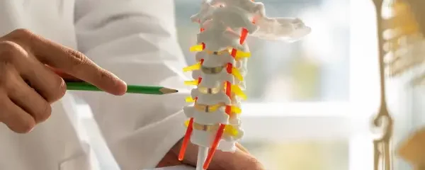 lower back